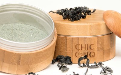 Spotlight: CHIC CHIQ Ayurveda Cosmetics