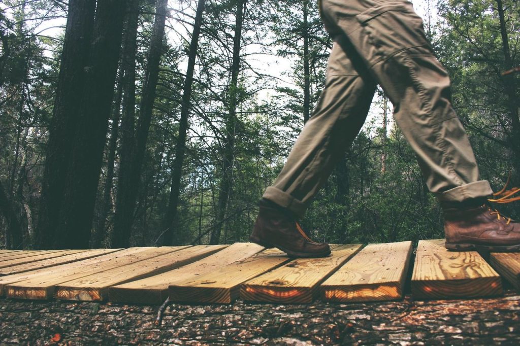 What impact do follow and nofollow links have on your SEO?